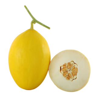 Soniya Muskmelon From  Known You Seed (India)-KYI